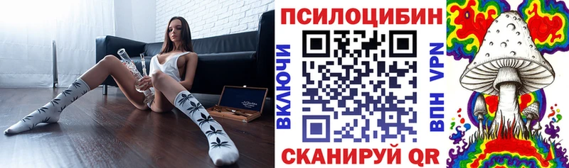 Псилоцибиновые грибы Cubensis  Мураши 